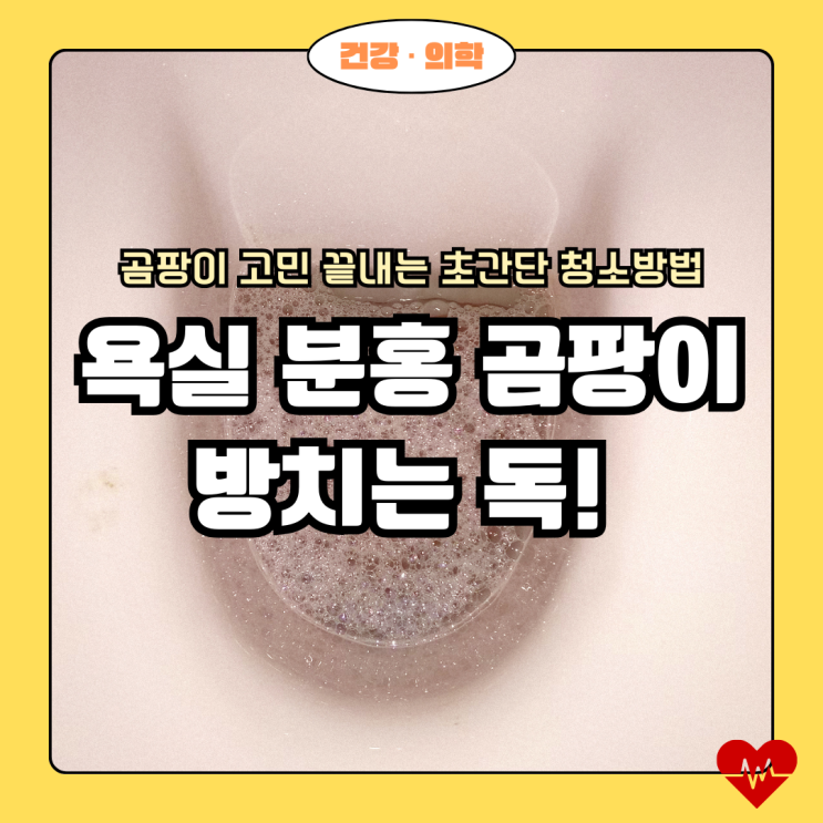  욕실 분홍 곰팡이 방치는 독! 3초 만에 곰팡이 고민 끝내는 초간단 청소방법