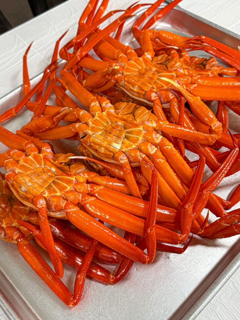 [미스터홍게] 강릉 홍게 무한리필 / 역대급 퀄리티의 가성비 홍게 맛집