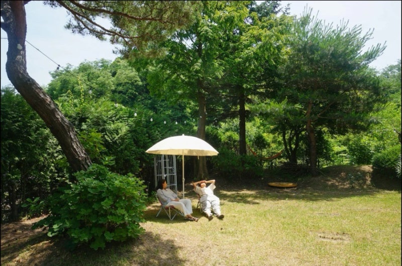 사진 3