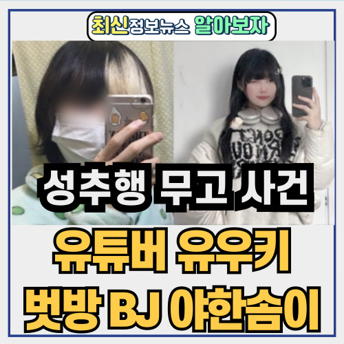  일본이야기 유튜버 유우키 | 벗방 BJ 성추행 무고 사건 정리 ( +야한솜이 얼굴 유포 논란)