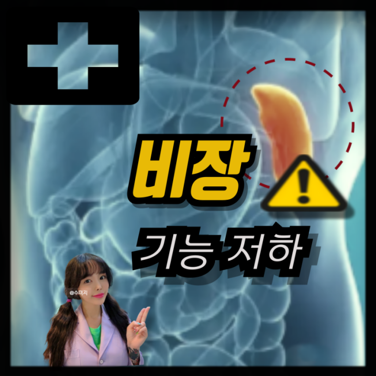  비장 기능 위치 비장비대증 원인 비장비대