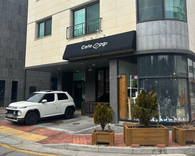 사진 3