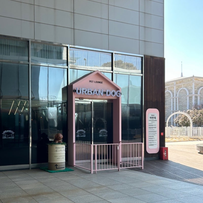 사진 5