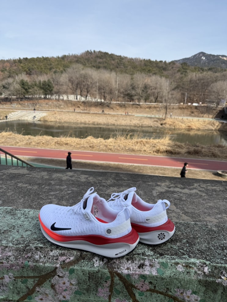  초보 러너의 26차 일지 (나이키 리액트 인피니티 런 4 신고 달려보자!)