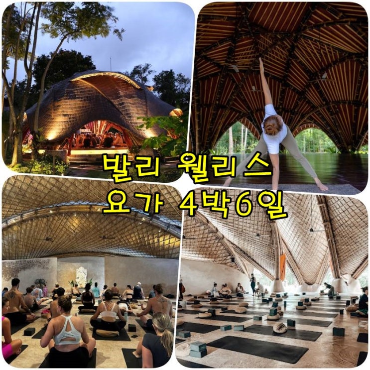  신들의 섬 발리 웰리스 요가여행