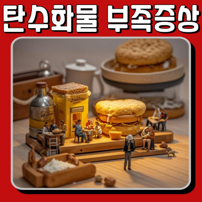 탄수화물 결핍이 몸에 미치는 영향과 올바른 섭취법