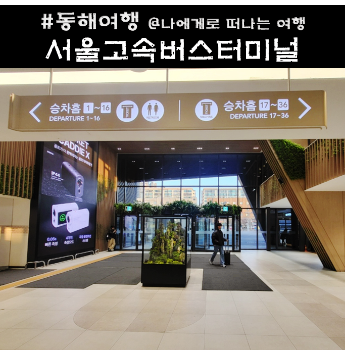 고속버스 예매, 강남 서울고속버스터미널 예매, 짐 보관, 주차장 안내