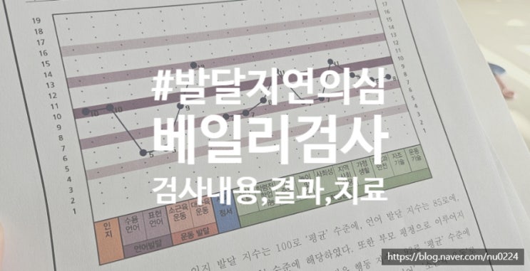 [대소근육,언어 발달지연] 베일리 발달 검사 후기 (보건소지원,실비청구가능)