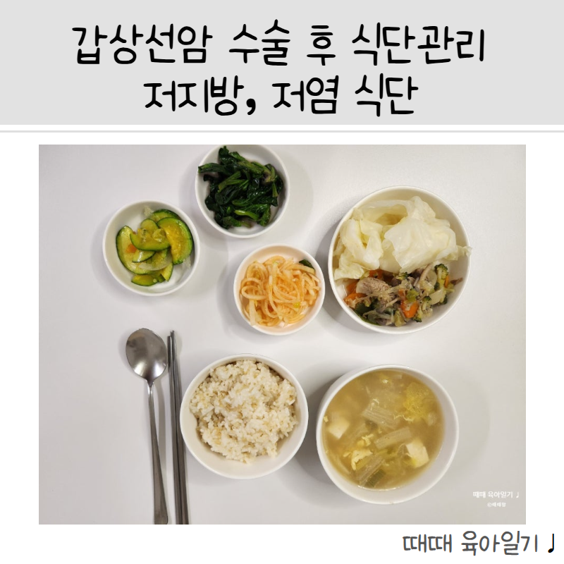 갑상선암 수술 후 2주 식단 관리, 저지방, 저염 식단 공유, 암 수술 후 식단 관리