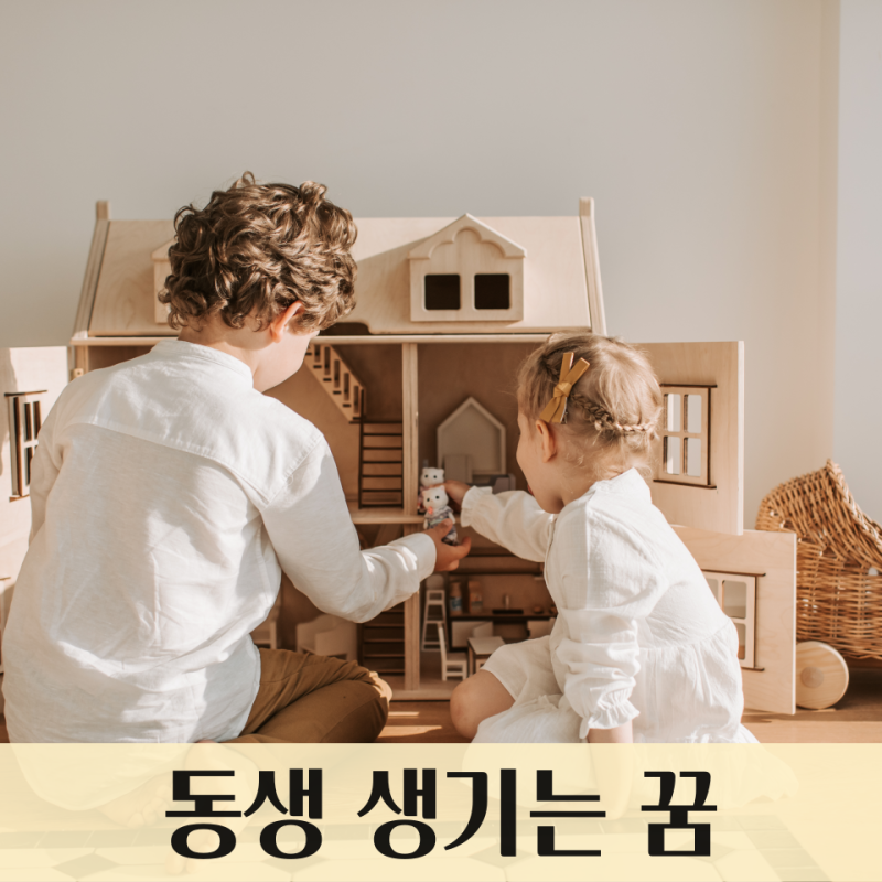 동생 생기는 꿈, 동생 때리는 꿈, 동생이랑 싸우는 꿈 : 동생 꿈해몽