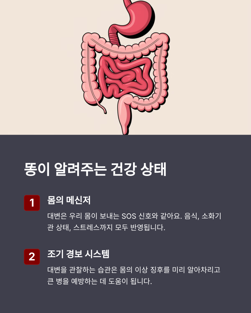 내 똥 모양 & 색깔로 건강 상태 진단하고 쾌변하는 비법 : 네이버 블로그