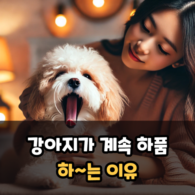  강아지계속하품하는 이유