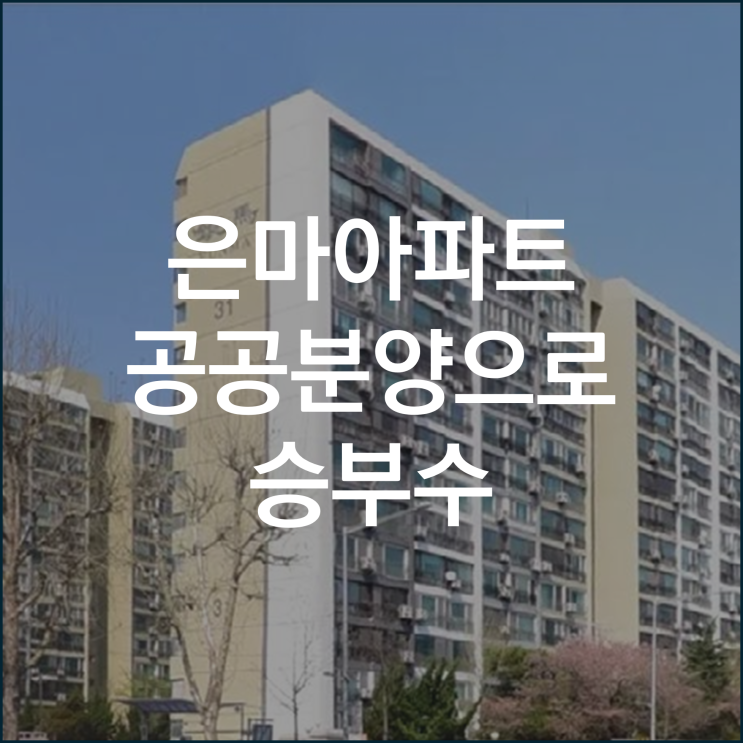  은마아파트 종상향 대신 공공분양으로 승부수