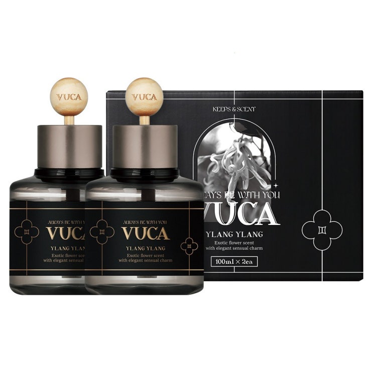  뷰카 센트 클래식 차량용 디퓨저 100ml, 일랑일랑, 2개
