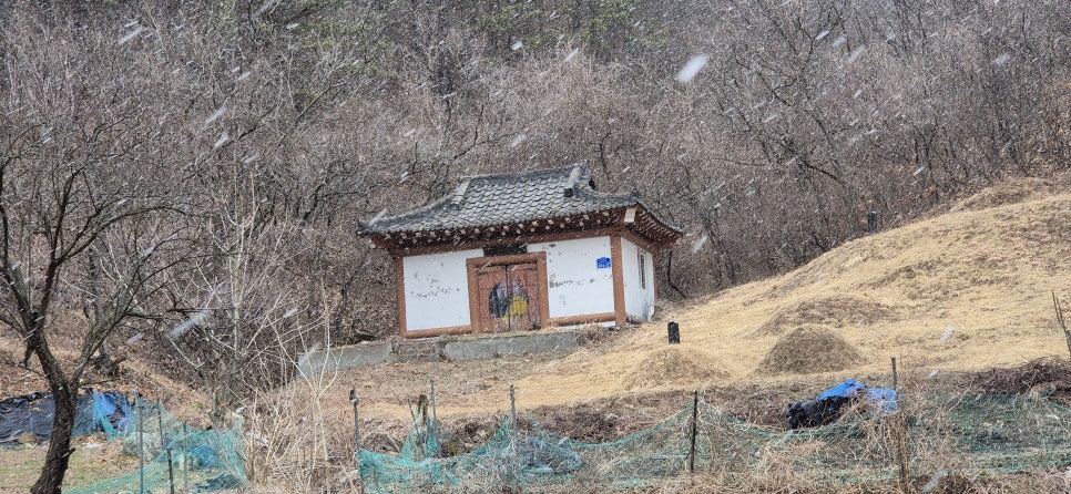 성골 사진 2
