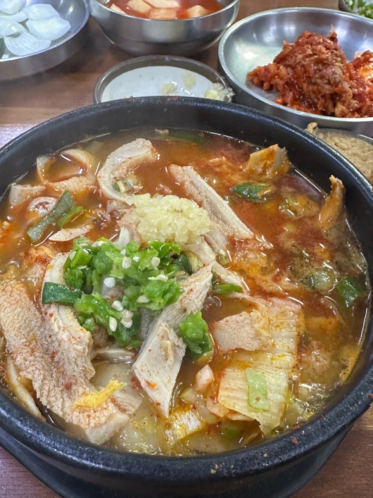  [산지해장국] 제주도 해장국 맛집 도민 맛집