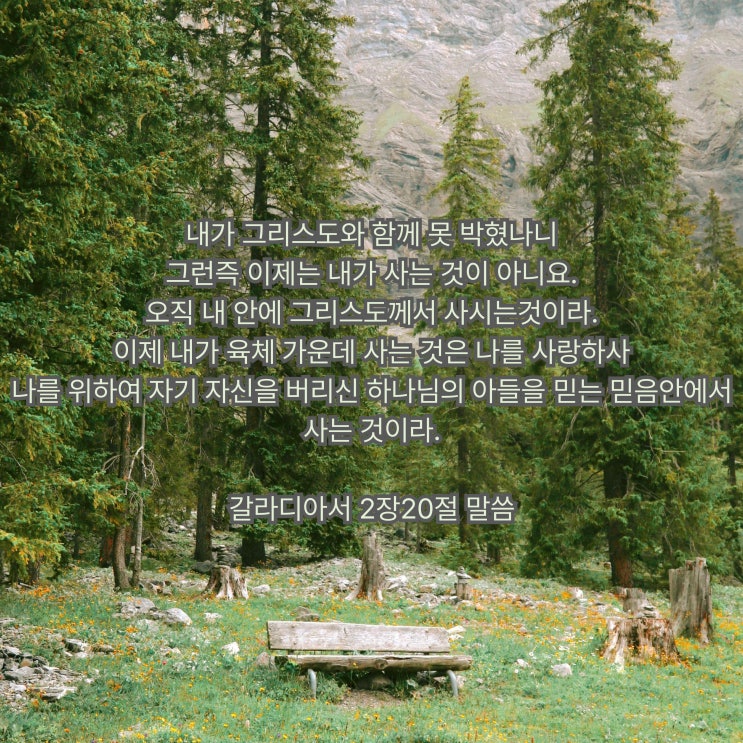  [250302] 갈라디아서 2:20