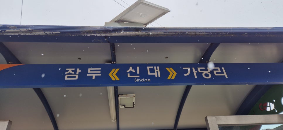성골 사진 1