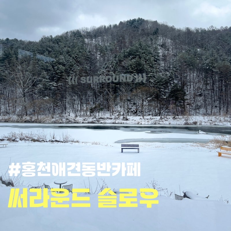 사진 4