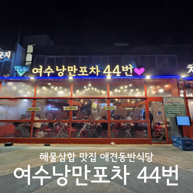  여수 낭만포차거리 삼합 맛집 애견동반 가능한 여수낭만포차44번