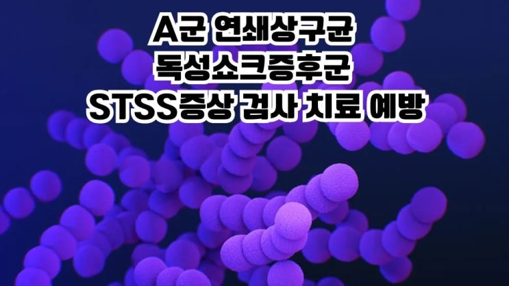  A군 연쇄상구균 독성쇼크증후군 STSS증상 검사 치료