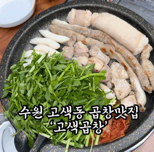  수원 오목천동 곱창 맛집 ‘고색곱창’