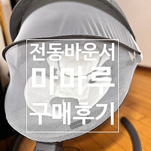 구매후기_Mamaroo 마마루 전동 바운서
