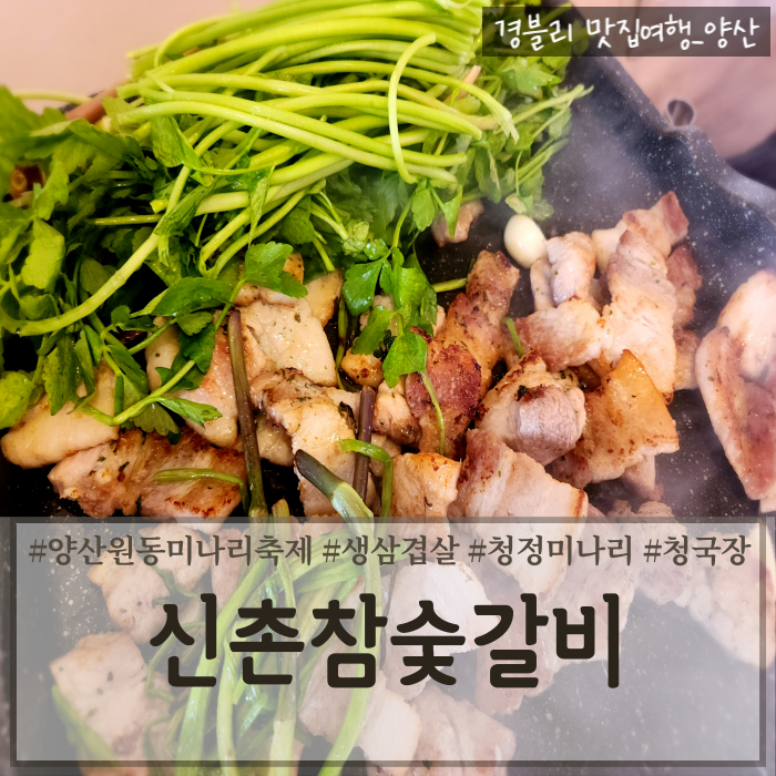 양산 원동미나리삼겹살맛집 원동미나리축제 '원동미나리 신촌참숯갈비'