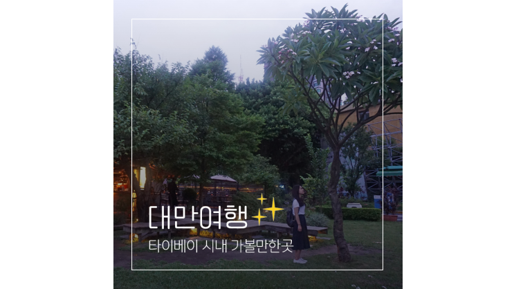  대만 자유여행 시먼딩 중정기념당 딘타이펑 스린야시장 타이베이 시내 가볼만한곳