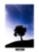 [Genspark] :: AI 이미지 스튜디오 기능 탐구! 배경 제거기 · 매직 지우개 · 매직 다시 그리기 · 이미지 확장 기능 체험 후기