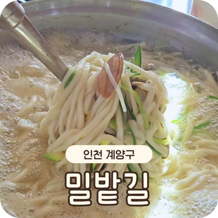  계양구 맛집 밀밭길  바지락칼국수 만두 세트