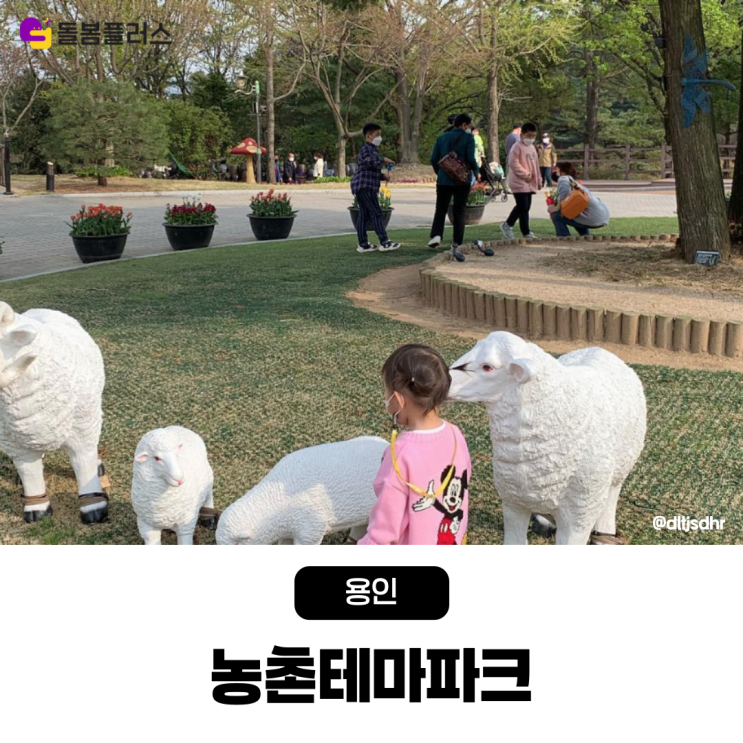  동물 먹이 주기부터 농작물 수확까지! 용인 농촌테마파크 완전 정복