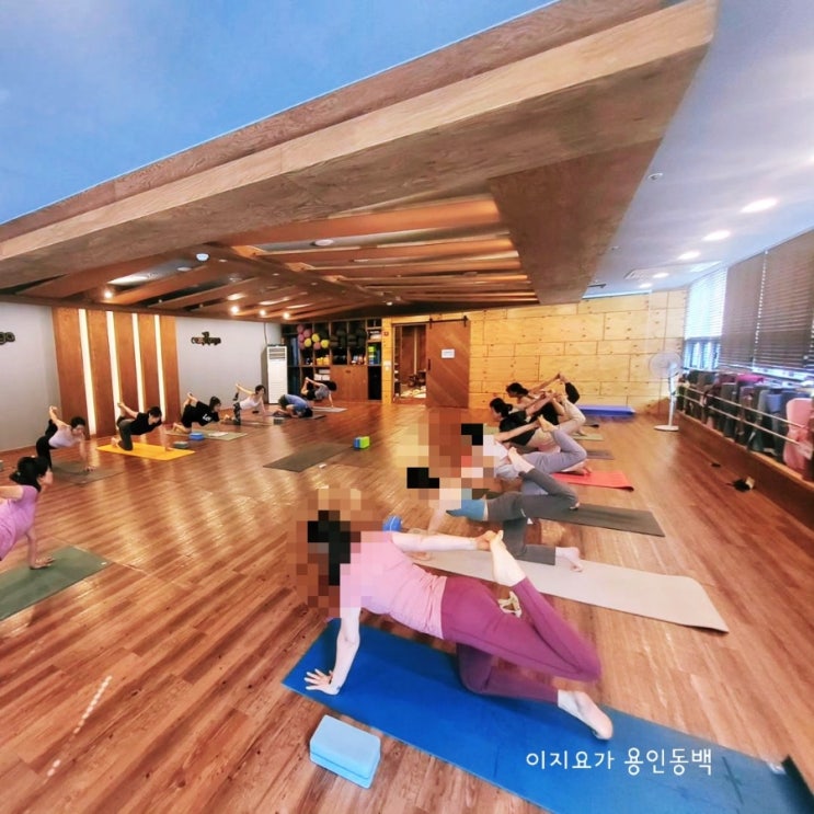  동백요가 : 봄 이벤트 '1개월 무료' 기다렸는데 딱 좋아~ 