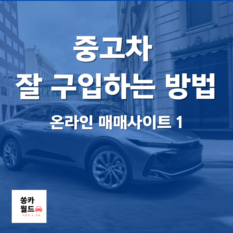 [연재] 중고차 제대로 알기 3 - 중고차는 어디서 구입하는걸까? 온라인 매매사이트 1