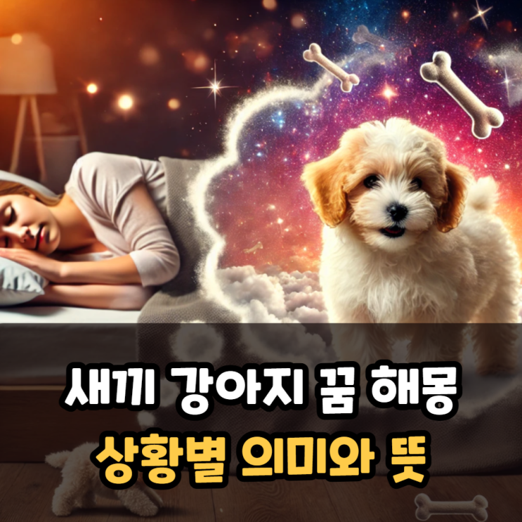  새끼 강아지꿈 해몽