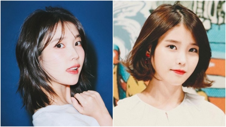  아이유 단발 완벽 정리! 허쉬컷 vs 모즈펌 차이점까지?