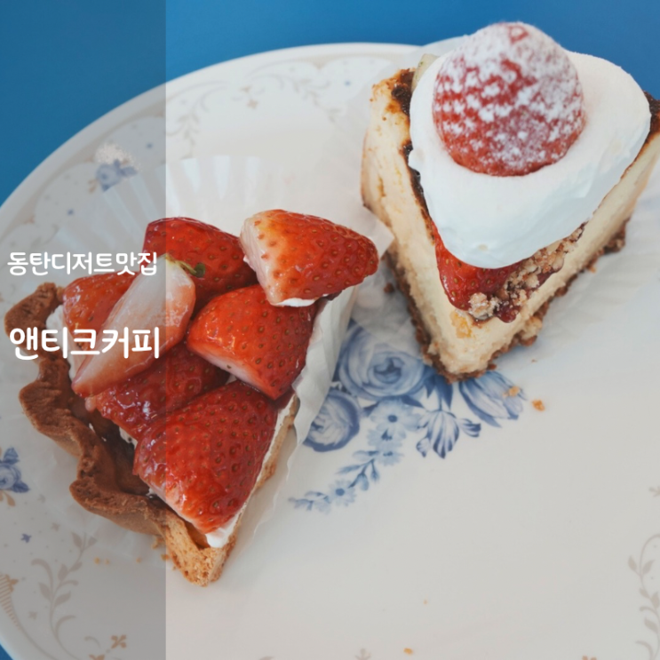  동탄호수공원 디저트 맛집 앤티크커피 치즈케이크 딸기파이