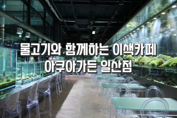  일산 이색카페 가볼만한곳 아쿠아가든 방문후기
