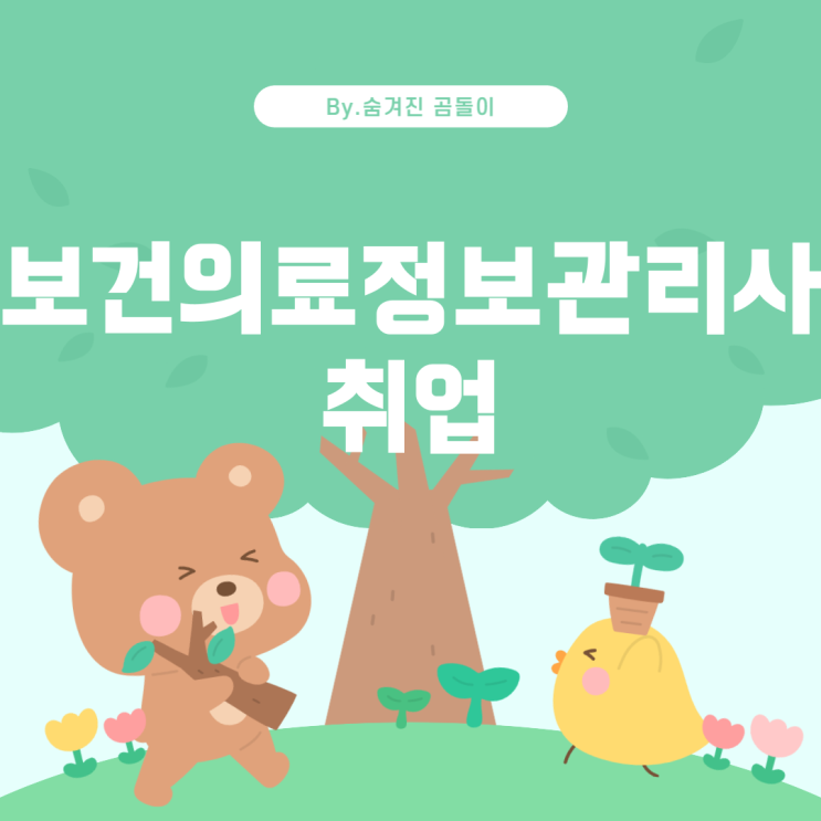  보건의료정보관리사 취업 가이드