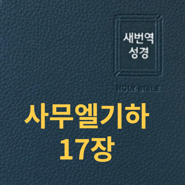 사무엘기하 17장 사무엘기하 17장