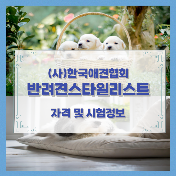 (사)한국애견협회 반려견스타일리스트 자격 및 시험정보 (사)한국애견협회 반려견스타일리스트 자격 및 시험정보