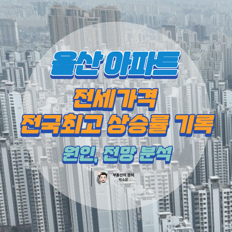  2025년 울산 아파트 전세가격 전국 최고 상승률 기록, 원인과 전망 분석