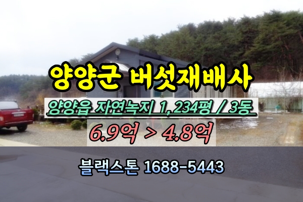  양양군 창고 버섯재배사 경매 1천평 [2024타경10476]