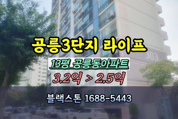  공릉3단지 라이프아파트 경매 13평 [2024타경112094]