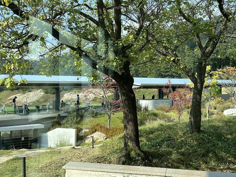 카페폰테 사진 6