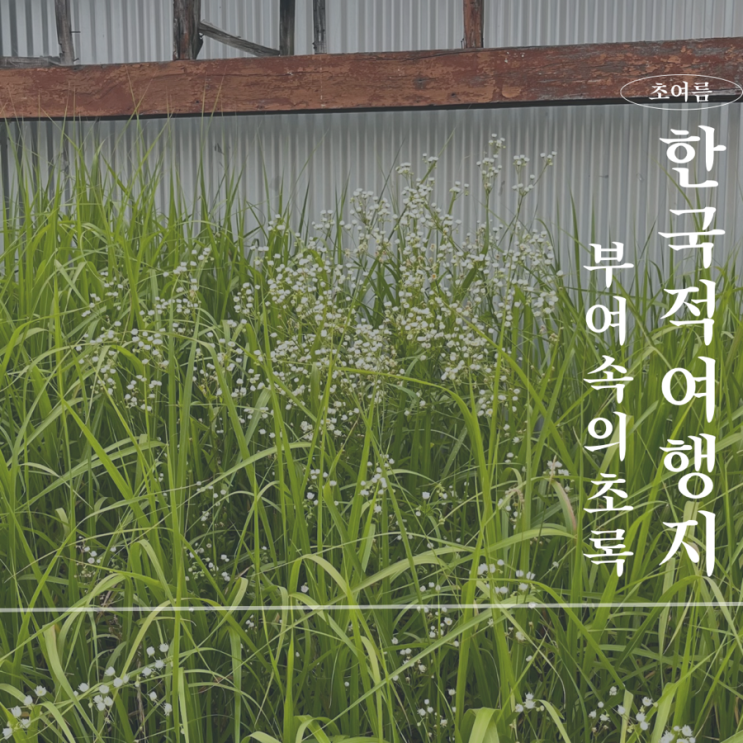  부여 투어1 : 부여속의초록