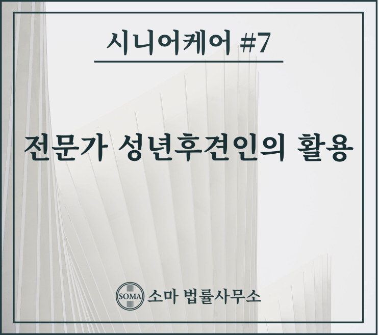  전문가 성년후견인의 활용