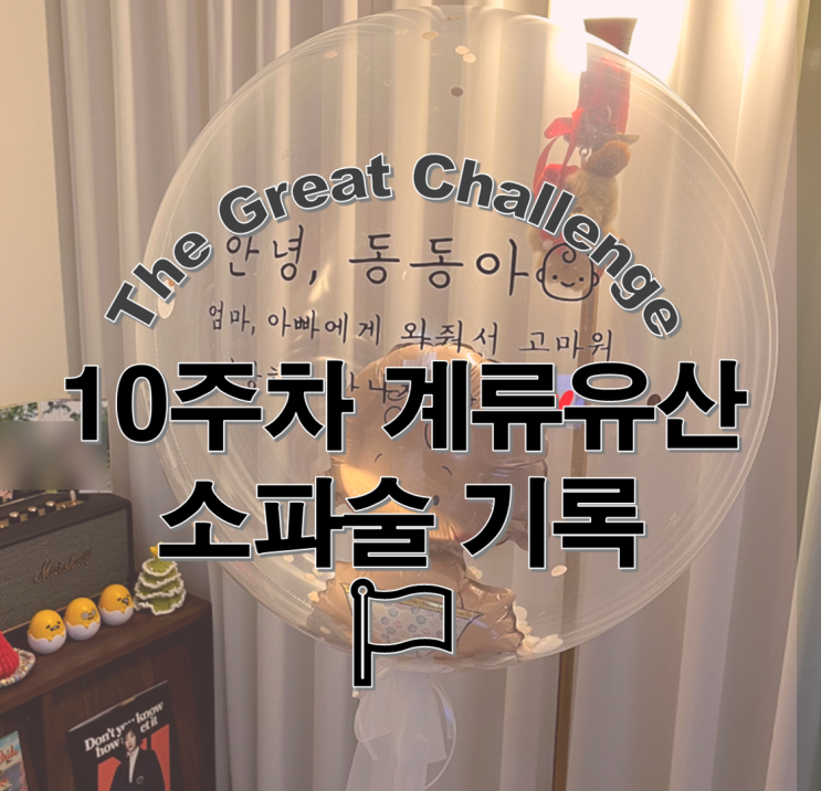  10주차 계류유산 증상부터 소파술 비용까지