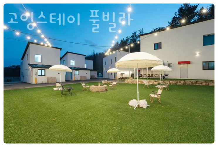  반려견과 함께 특별한 하루를! 포항 고잉스테이 풀빌라 펜션
