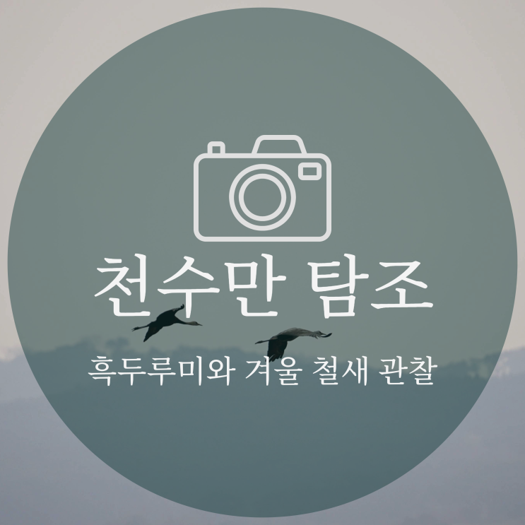  천수만 탐조 후기 | 흑두루미와 겨울 철새 관찰